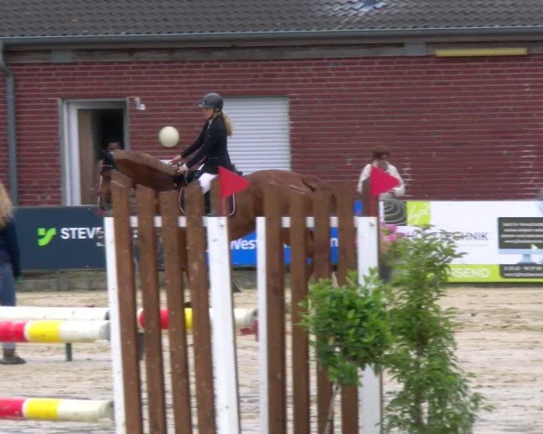 Reitturnier Stadtlohn 2025