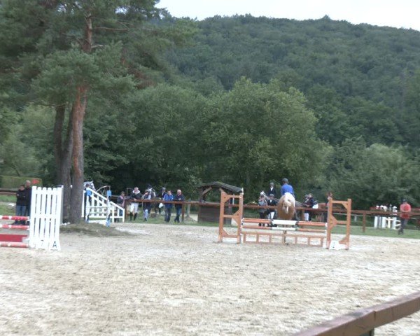 Reitturnier Arnsberg-Holzen 2025