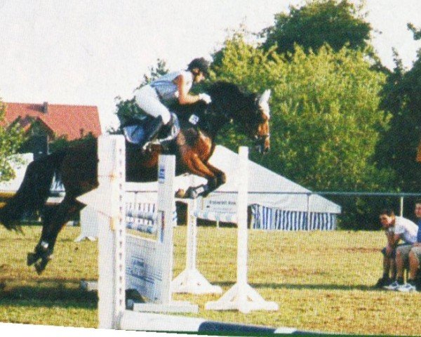 horse Penny Lane 199 (Brandenburg, 1995, from Pilot's Ass)