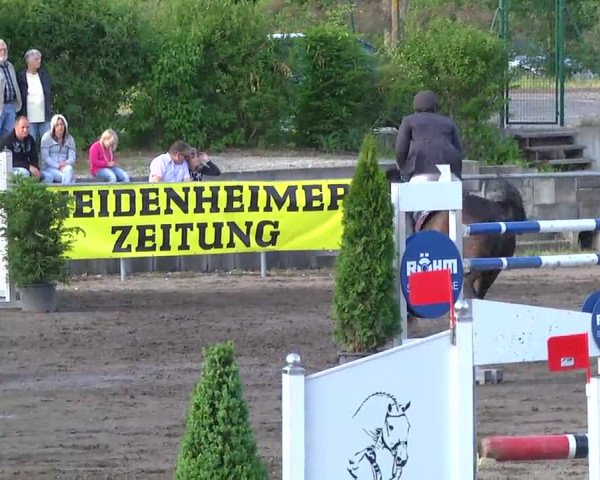 Großes Heidenheimer Reitturnier 2014