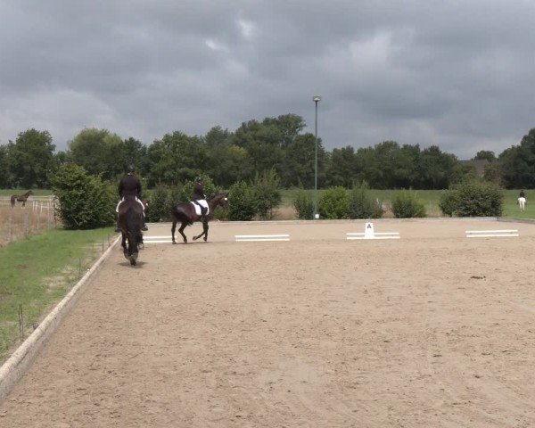 Reitturnier Neuss-Uedesheim 2025