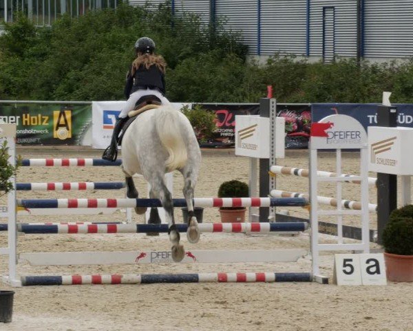 Reitturnier Jagstzell 2025