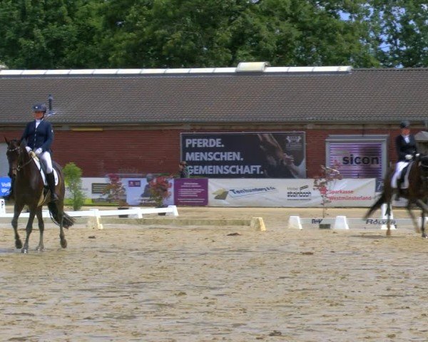 Reitturnier Stadtlohn 2025