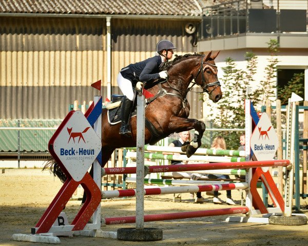 jumper Elmo (Mecklenburg, 2013, from Eldorado de Hus)