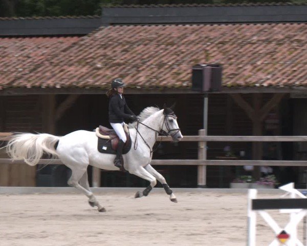 Reitturnier Alvern 2025