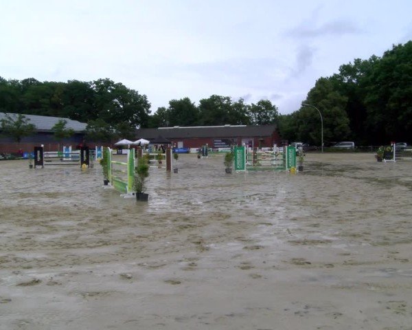 Reitturnier Stadtlohn 2025