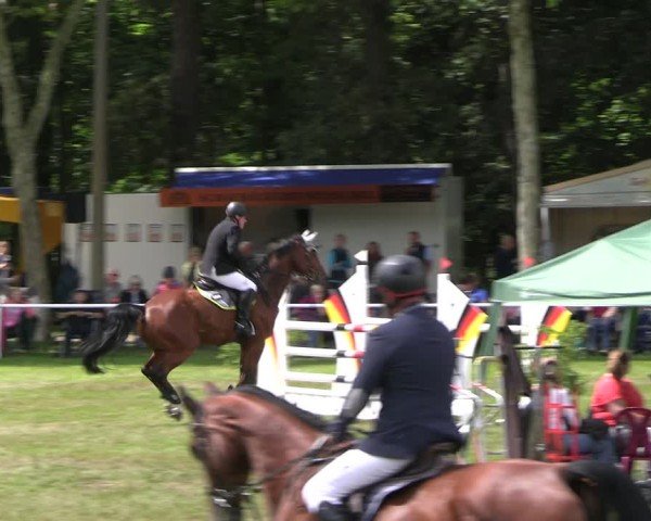 Reitturnier Zobbenitz 2025