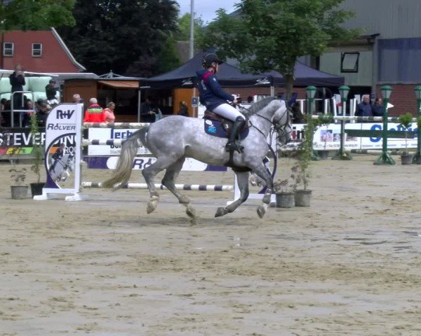 Reitturnier Stadtlohn 2025