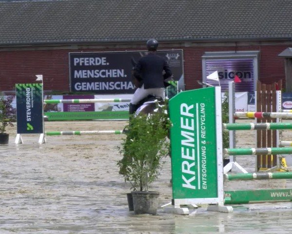 Reitturnier Stadtlohn 2025