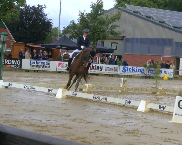 Reitturnier Stadtlohn 2025