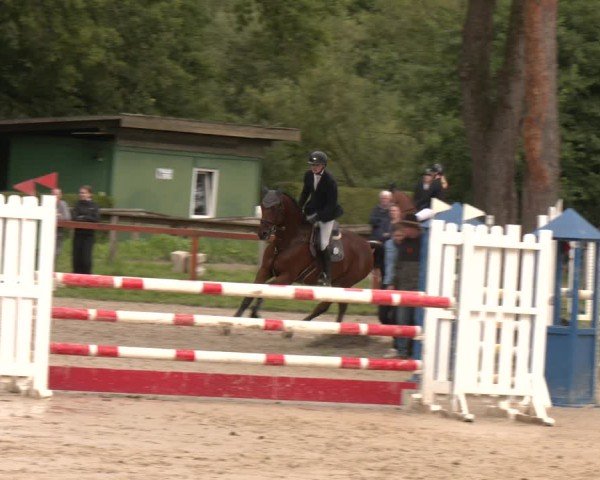Reitturnier Arnsberg-Holzen 2025