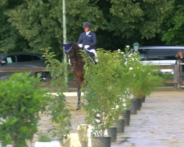 Reitturnier Stadtlohn 2025