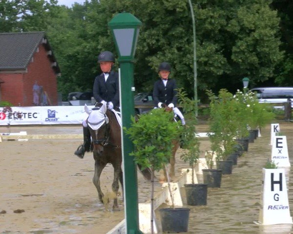 Reitturnier Stadtlohn 2025