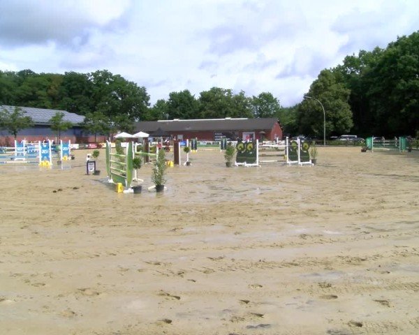 Reitturnier Stadtlohn 2025