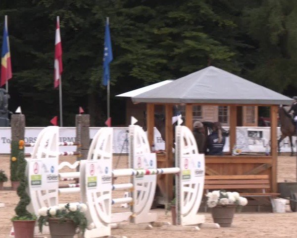 Reitturnier Ranshofen - Braunau am Inn 2025