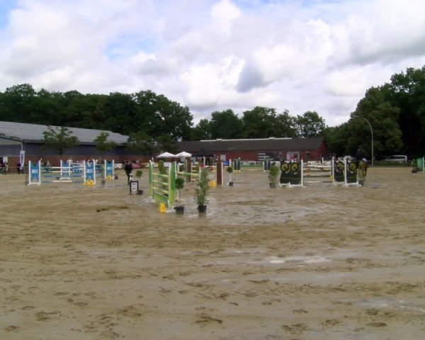 Reitturnier Stadtlohn 2025