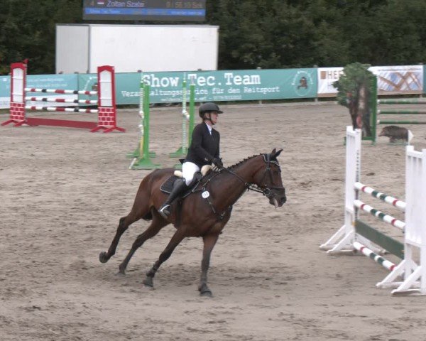 Reitturnier Alvern 2025