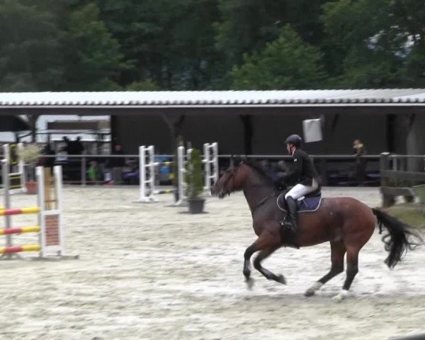 Drei Länder Challenge 2014