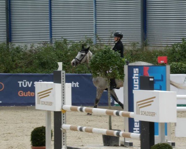 Reitturnier Jagstzell 2025