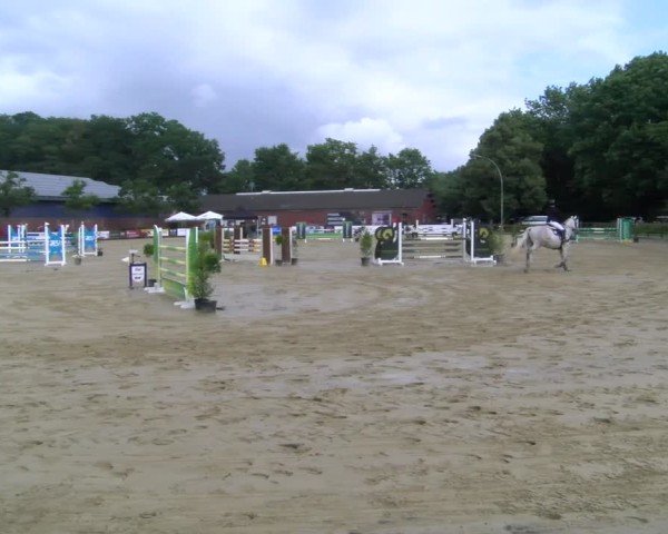 Reitturnier Stadtlohn 2025