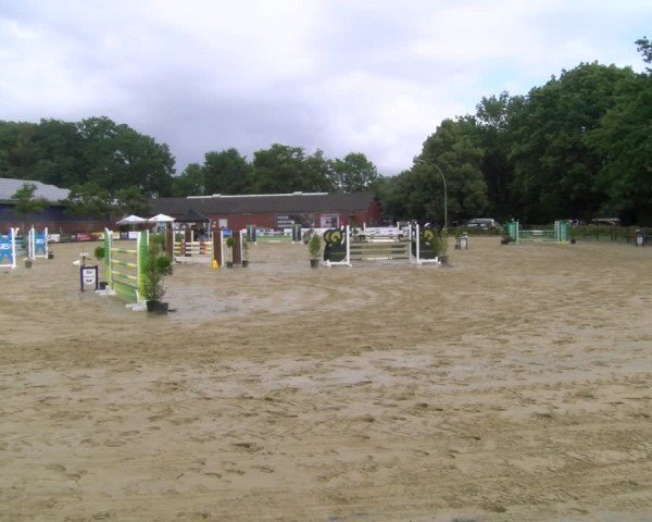 Reitturnier Stadtlohn 2025