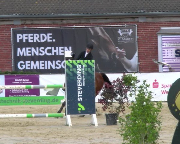 Reitturnier Stadtlohn 2025