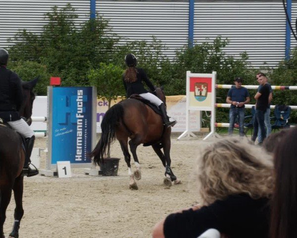 Reitturnier Jagstzell 2025