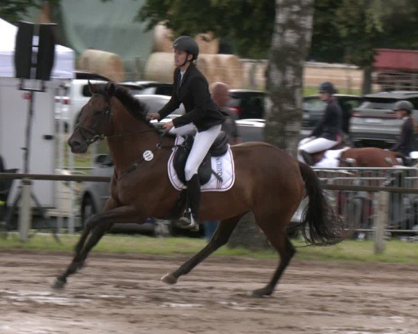 Reitturnier Neuss-Uedesheim 2025