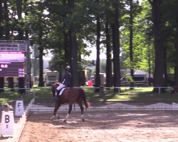 Reitturnier Zobbenitz 2025