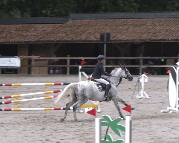 Reitturnier Alvern 2025