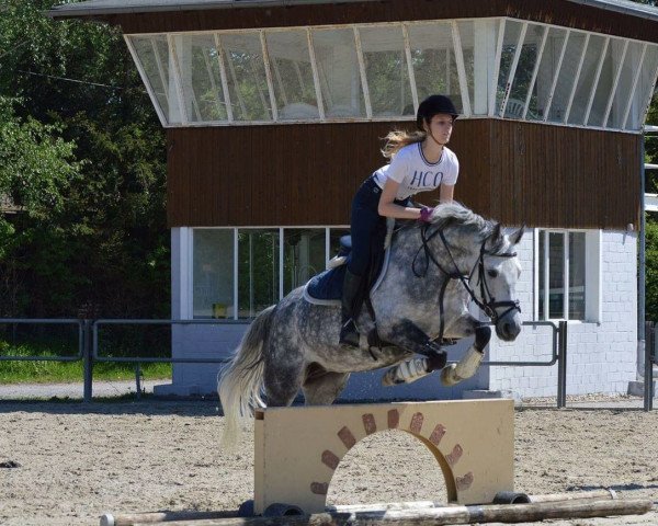 dressage horse Nikita 467 (Pony without race description, 2007, from Unbekannt Pony)