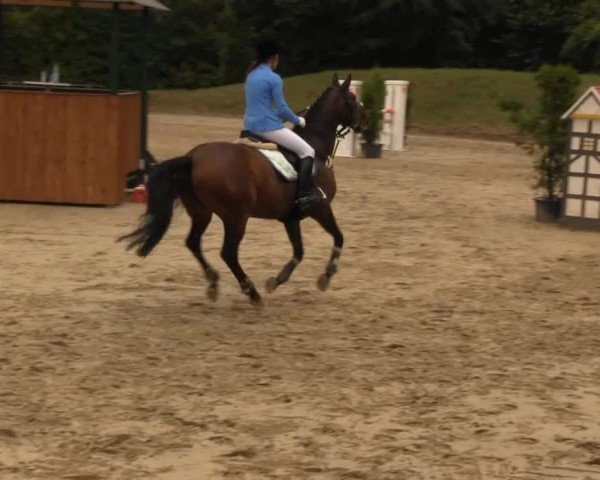 Sommerturnier Fröndenberg 2014