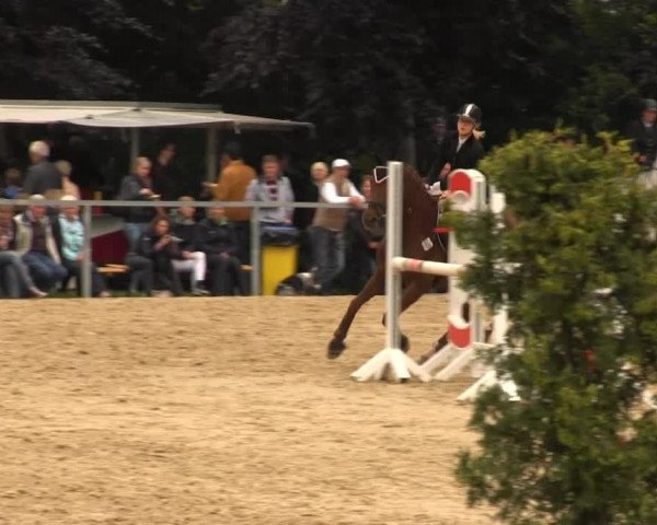 Sommerturnier Fröndenberg 2014