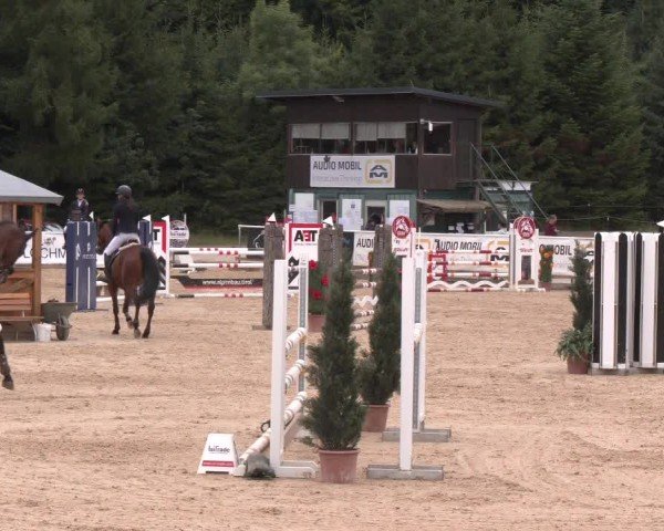 Reitturnier Ranshofen - Braunau am Inn 2025