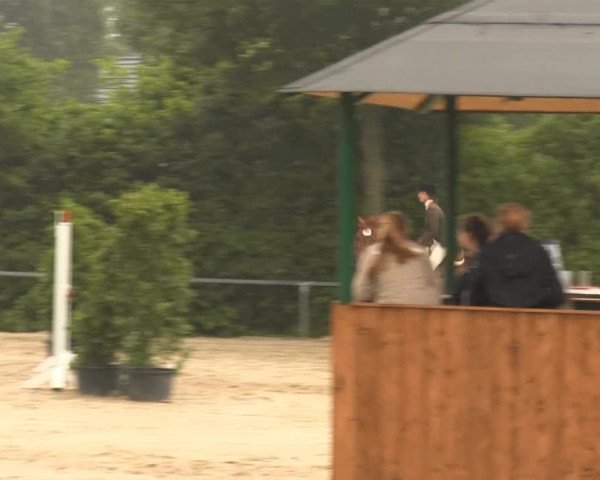 Sommerturnier Fröndenberg 2014