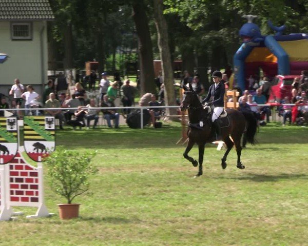 Reitturnier Zobbenitz 2025
