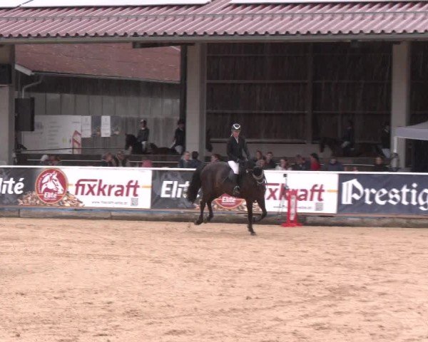 Reitturnier Ranshofen - Braunau am Inn 2025