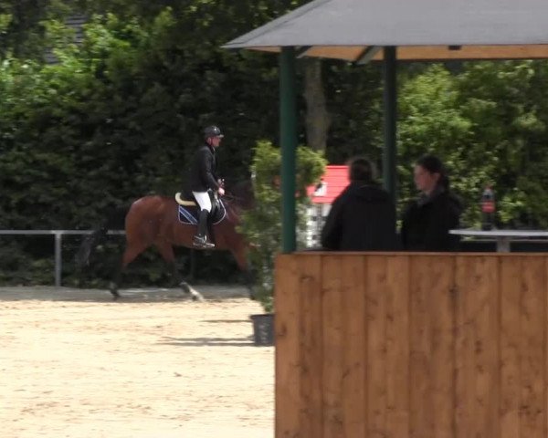 Sommerturnier Fröndenberg 2014