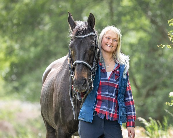 dressage horse Ory 2 (Sachse, 1996, from Osterbote 1462)