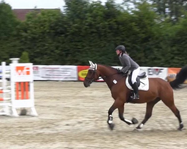 Sommerturnier Fröndenberg 2014
