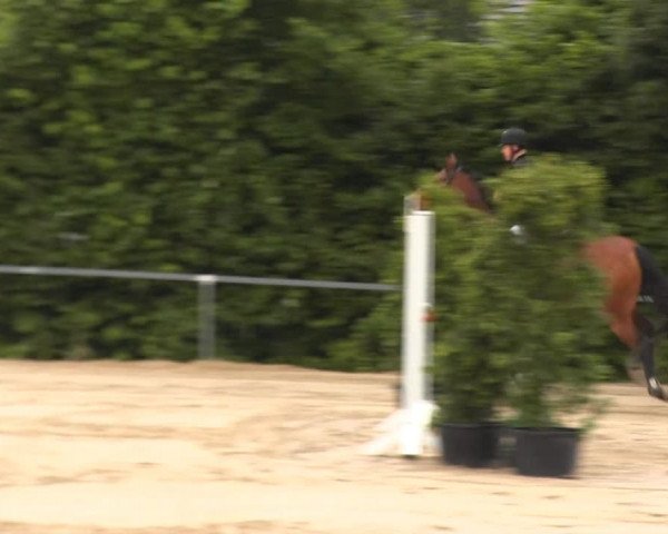 Sommerturnier Fröndenberg 2014