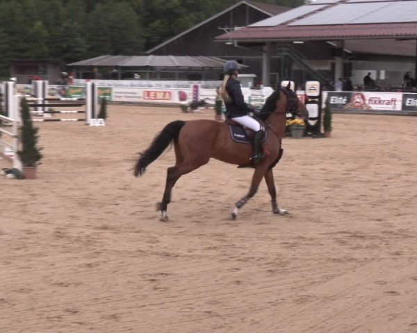 Reitturnier Ranshofen - Braunau am Inn 2025