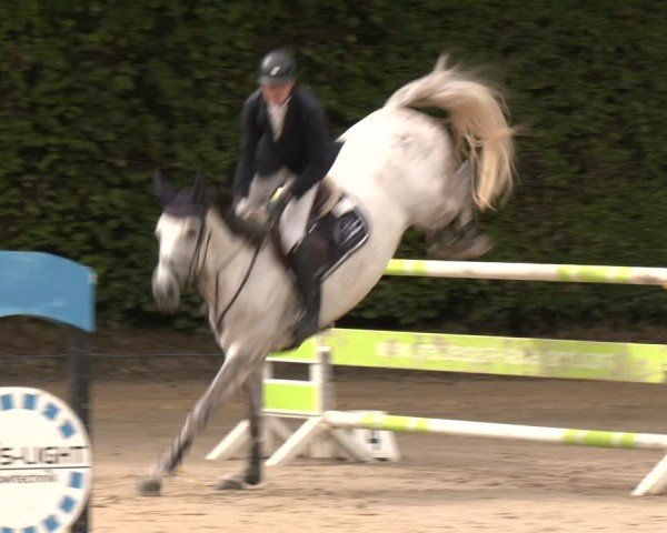 Reitturnier Arnsberg-Holzen 2025