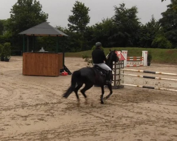 Sommerturnier Fröndenberg 2014