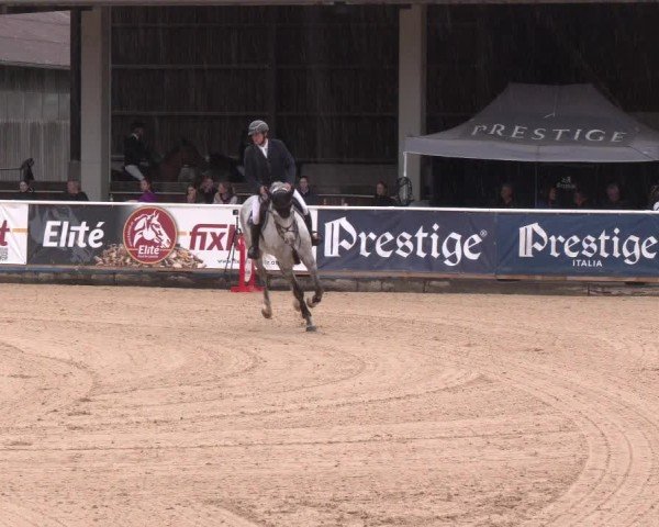Reitturnier Ranshofen - Braunau am Inn 2025