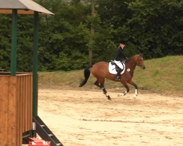 Sommerturnier Fröndenberg 2014