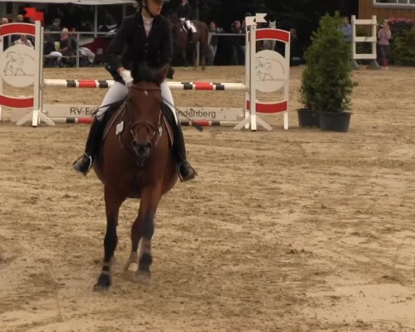 Sommerturnier Fröndenberg 2014