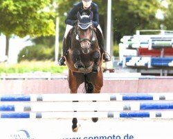 jumper Lotta R 2 (Hanoverian, 2018, from Lord Pezi Junior)