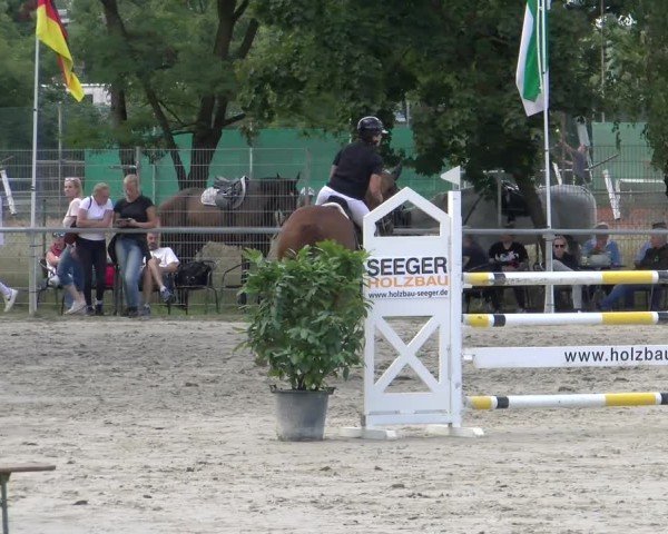 Reitturnier Mannheim-Friedrichsfeld 2025