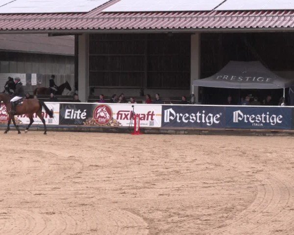 Reitturnier Ranshofen - Braunau am Inn 2025